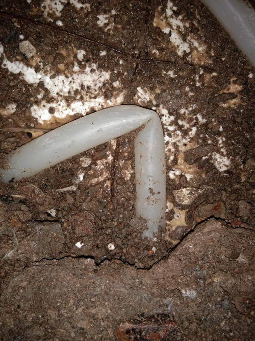 霍尔果斯堵点精准查找